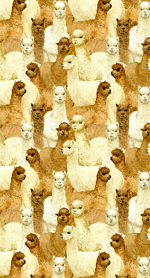 Blackout roller blind for window A herd of alpacas
