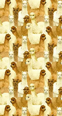 Blackout roller blind for window with an alpaca herd print