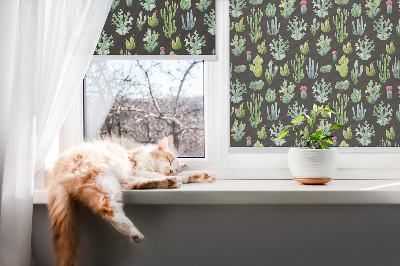Fabric roller blind for window Cacti