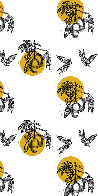 Blackout roller blind for window Fruits and yellow circles