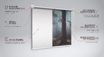 Fabric roller blind for window Forest at night