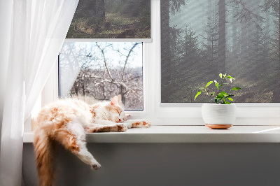 Fabric roller blind for window Forest at night