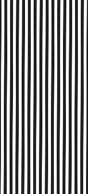 Blackout roller blind for window Black and white stripes