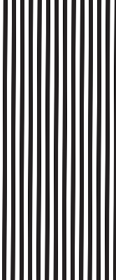 Blackout roller blind for window Black and white stripes