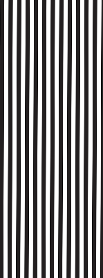Blackout roller blind for window Black and white stripes