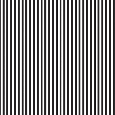 Blackout roller blind with black and white stripes
