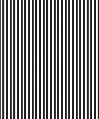 Blackout roller blind for window Black and white stripes