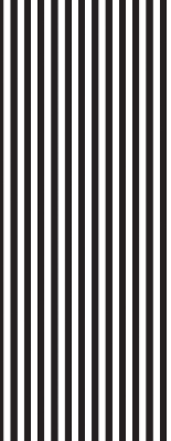 Blackout roller blind for window Black and white stripes