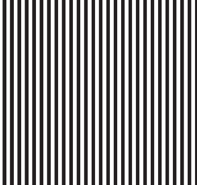 Blackout roller blind for window Black and white stripes