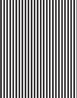 Blackout roller blind for window Black and white stripes
