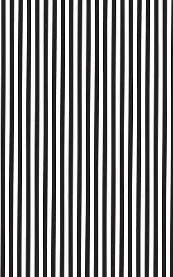 Blackout roller blind for window Black and white stripes