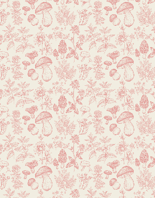 Blackout roller blind for window Drawn mushrooms
