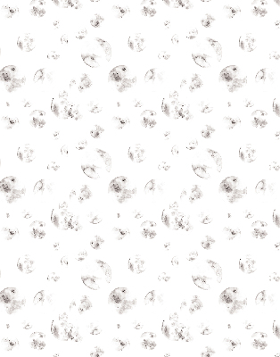 Blackout roller blind Planets