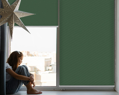 Blackout roller blind for window Green