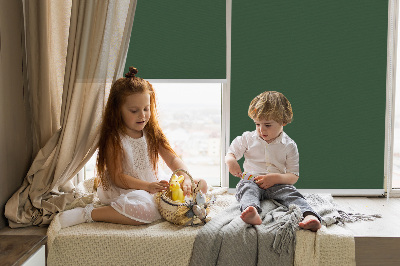 Blackout roller blind for window Green