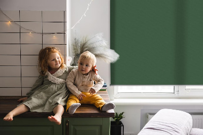 Blackout roller blind for window Green