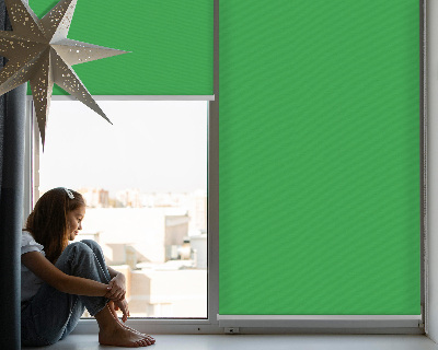 Blackout roller blind Green