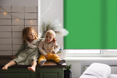 Blackout roller blind Green