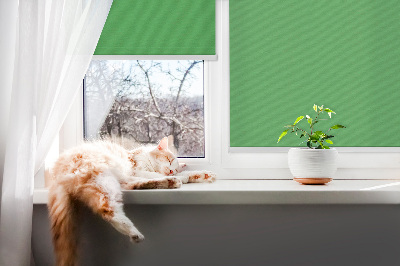 Blackout roller blind Green