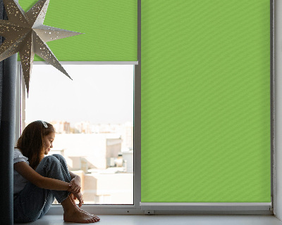 Blackout roller blind for window Green