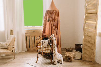 Blackout roller blind for window Green