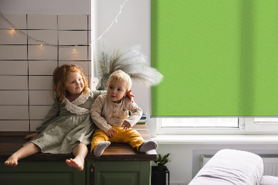 Blackout roller blind for window Green