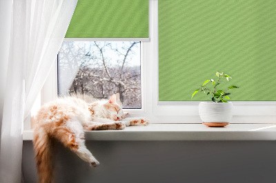 Blackout roller blind for window Green