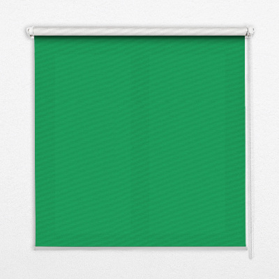 Fabric roller blind for window in green
