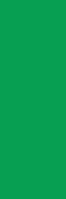 Fabric roller blind for window in green