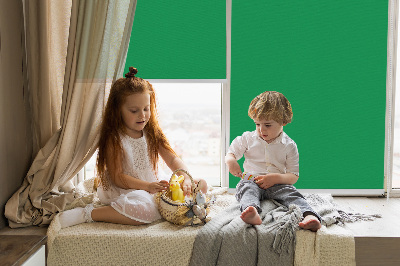 Fabric roller blind for window Green