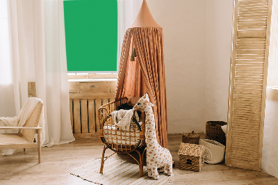 Fabric roller blind for window Green