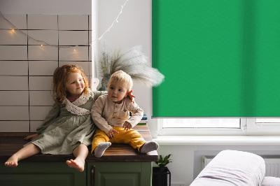 Fabric roller blind for window Green