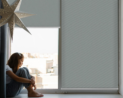 Blackout roller blind for window Gray
