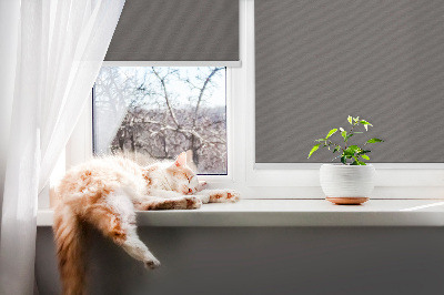 Blackout roller blind Gray