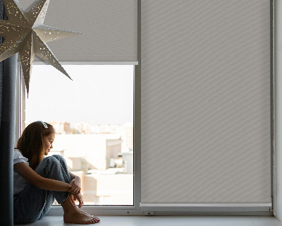 Blackout roller blind for window Gray
