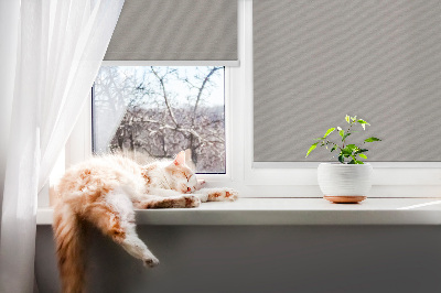 Blackout roller blind for window Gray