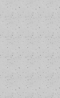 Blackout roller blind spots pattern