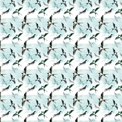 Blackout roller blind swallows pattern