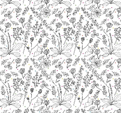 Fabric roller blind for window Drawn plants