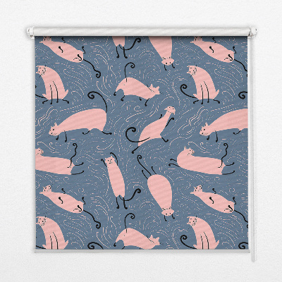 Blackout roller blind for window Pink cats