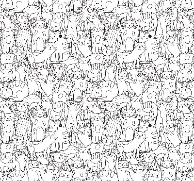 Blackout roller blind Drawn cats