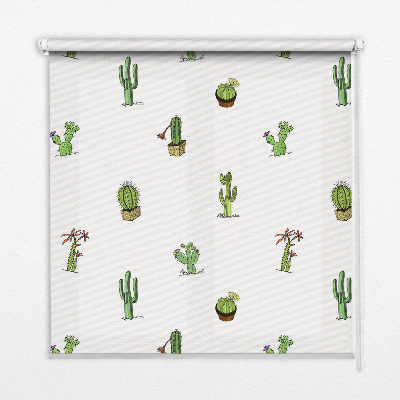 Fabric roller blind for window Cacti