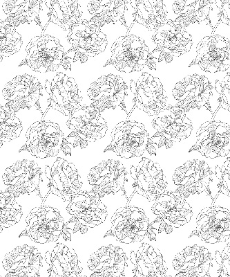 Blackout roller blind for window Drawn roses