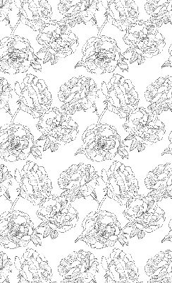 Blackout roller blind for window Drawn roses