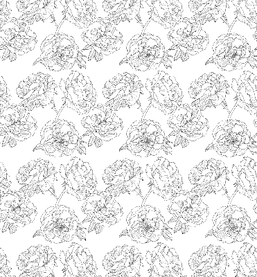 Blackout roller blind for window Drawn roses