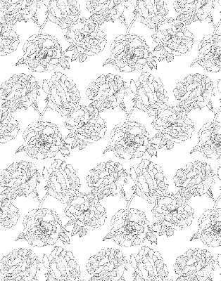 Blackout roller blind for window Drawn roses
