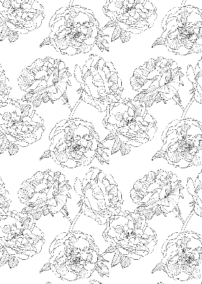 Blackout roller blind for window Drawn roses