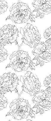Blackout roller blind for window Drawn roses