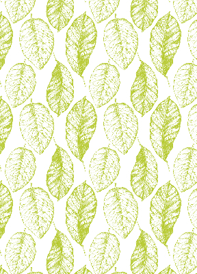 Fabric roller blind for window Lime leaves