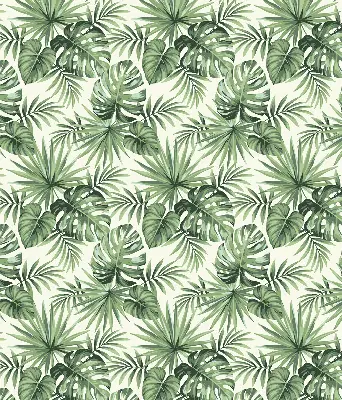 Blackout roller blind for window various leaves design